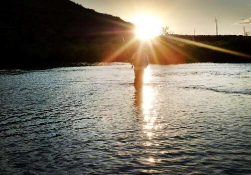 Tri Cities Events Calendar: Things to do in Northern New Mexico