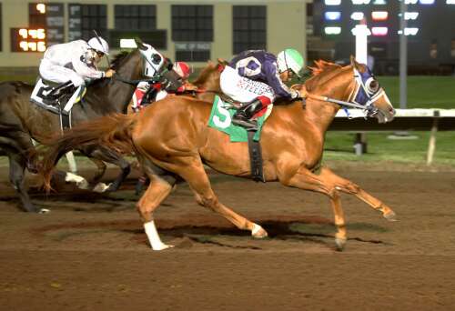 Political Twist dominates in Grade 1 Rainbow Derby