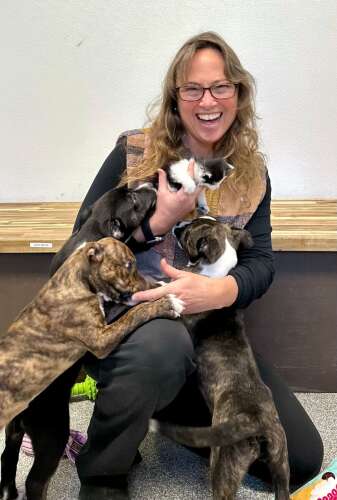 Feeling burnout, La Plata County Humane Society director takes her leave