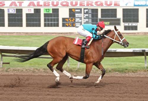 Juarez, Matilda’s Mark roll to stirring win in Lincoln Stakes