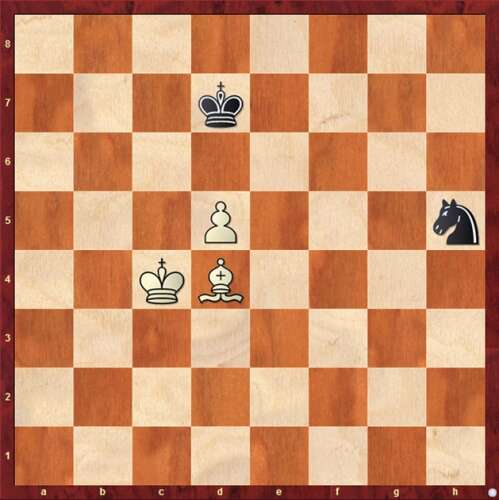 Bishops are like dolphins