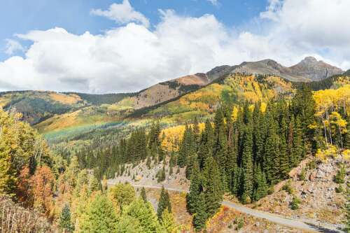 Late-summer rain sets stage for stunning fall display - The Journal