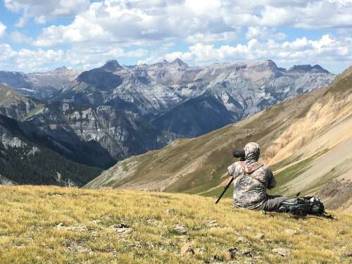 Citizen scientists play key role in tracking bighorn sheep - Vimarsana News