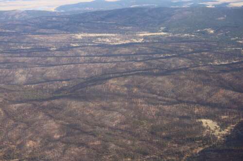 FEMA hints it might lift 25% cap on tree reimbursements for northern NM fire victims - Vimarsana News