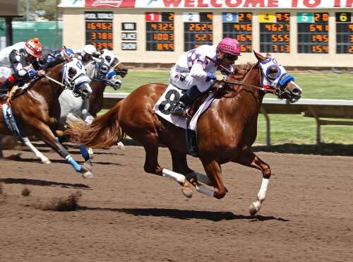 Field for first leg of Quarter Horse Triple Crown set following trials for Ruidoso Futurity