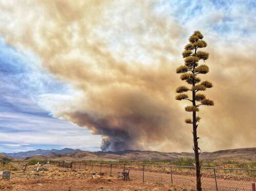 N.M. electrical utilities detail wildfire prevention measures as state enters fire season