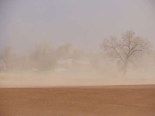 Spring winds kick up dust, exacerbate allergies across Southwest Colorado - Vimarsana News