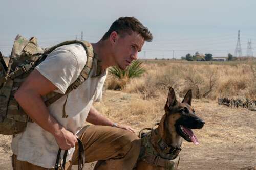 Check out what's playing in Durango movie theaters – The Durango Herald - Vimarsana News