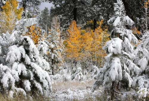 Subzero temps expected to kick off the new year in Southwest Colorado - Vimarsana News