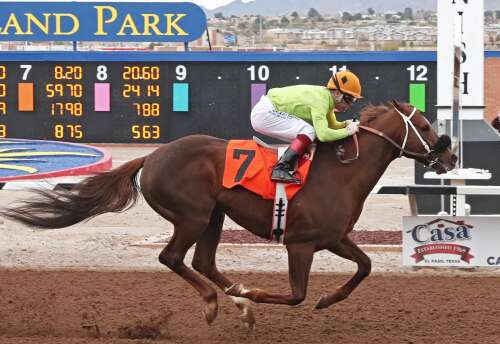 Mo Money Time earns 11-to-1 upset win in New Mexico State Racing Commission Stakes