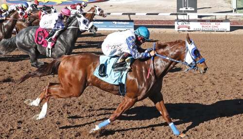 Traxion earns second career stakes win in West Texas Derby