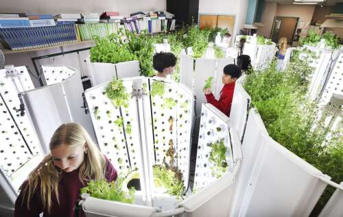 Escalante Middle School students learn value of agriculture in greenhouse class