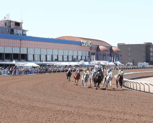 Weather, track conditions force temporary postponement of live racing at Sunland Park