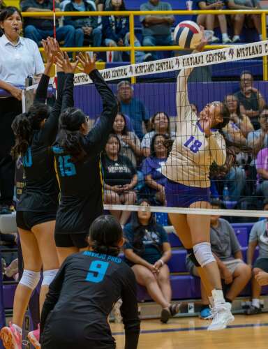 Prep volleyball season off to fast start for local, area teams - The ...