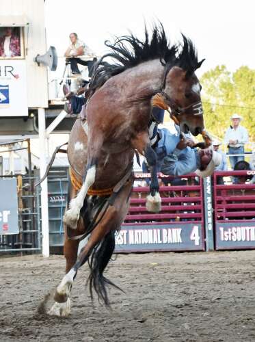 Ute Mountain Roundup Rodeo bonds people together