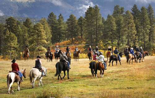 Durango Cowboy Poetry Gathering expands - Vimarsana News