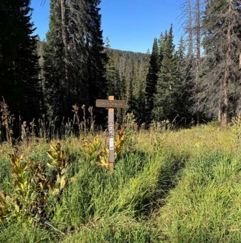 San Juan National Forest acquires 80-acre Fall Creek parcel
