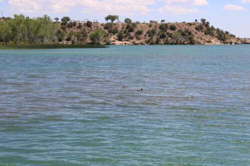 Farmington Parks & Recreation announces Lake Safety Day events