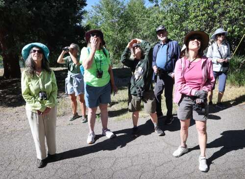Birding supplies Southwest Colorado residents with community, grounding