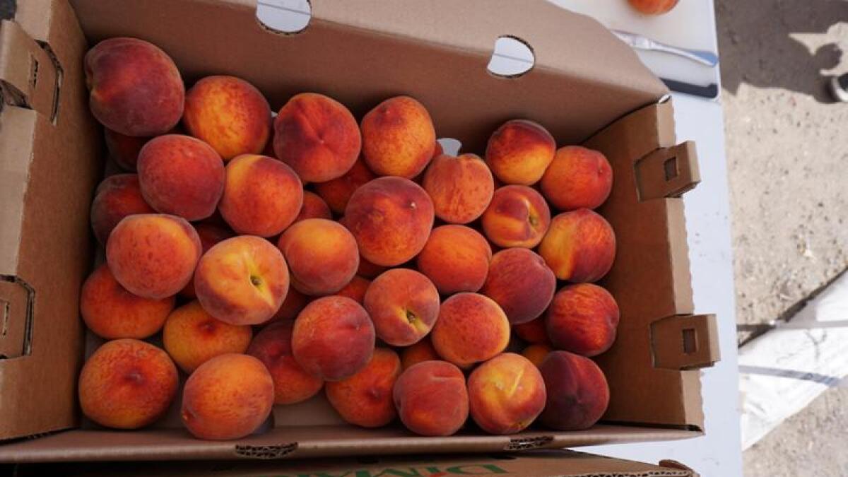 Palisade Peaches Debuting At Area Fruit Stand The Durango Herald