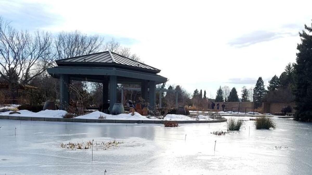 Even in winter, Denver Botanic Gardens offers lessons in beauty