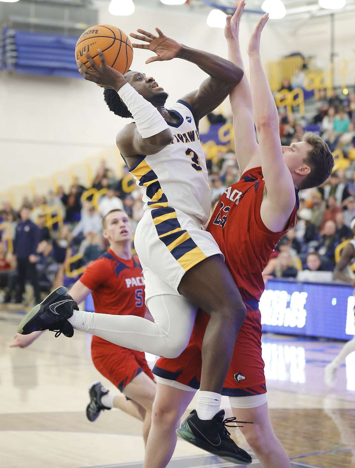 2024 RMAC Men's Basketball Tournament - Rocky Mountain Athletic Conference