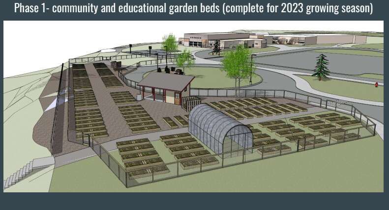 community garden design