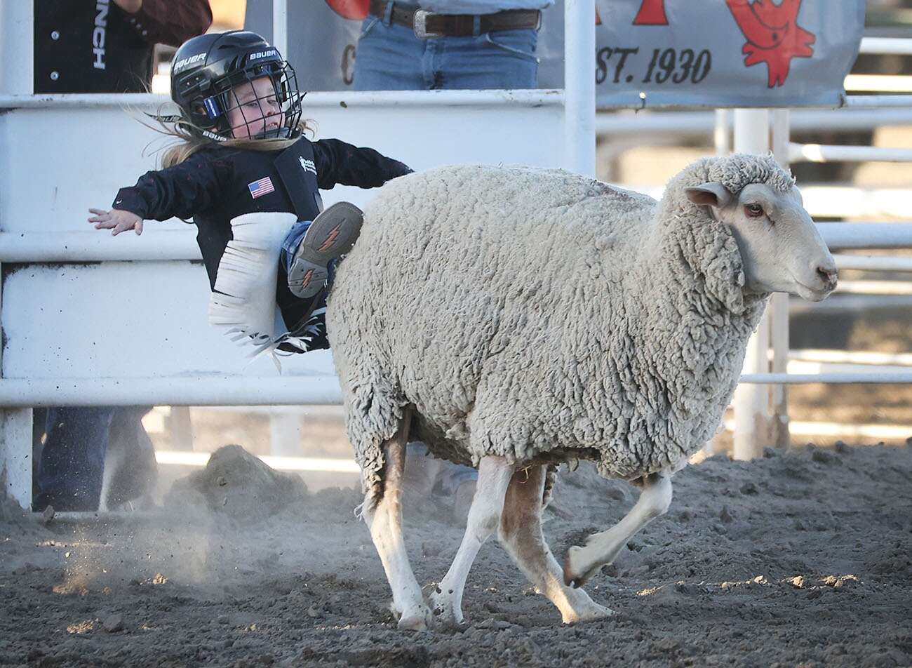 Western fun and exciting competition had at Ute Mountain Rodeo Friday