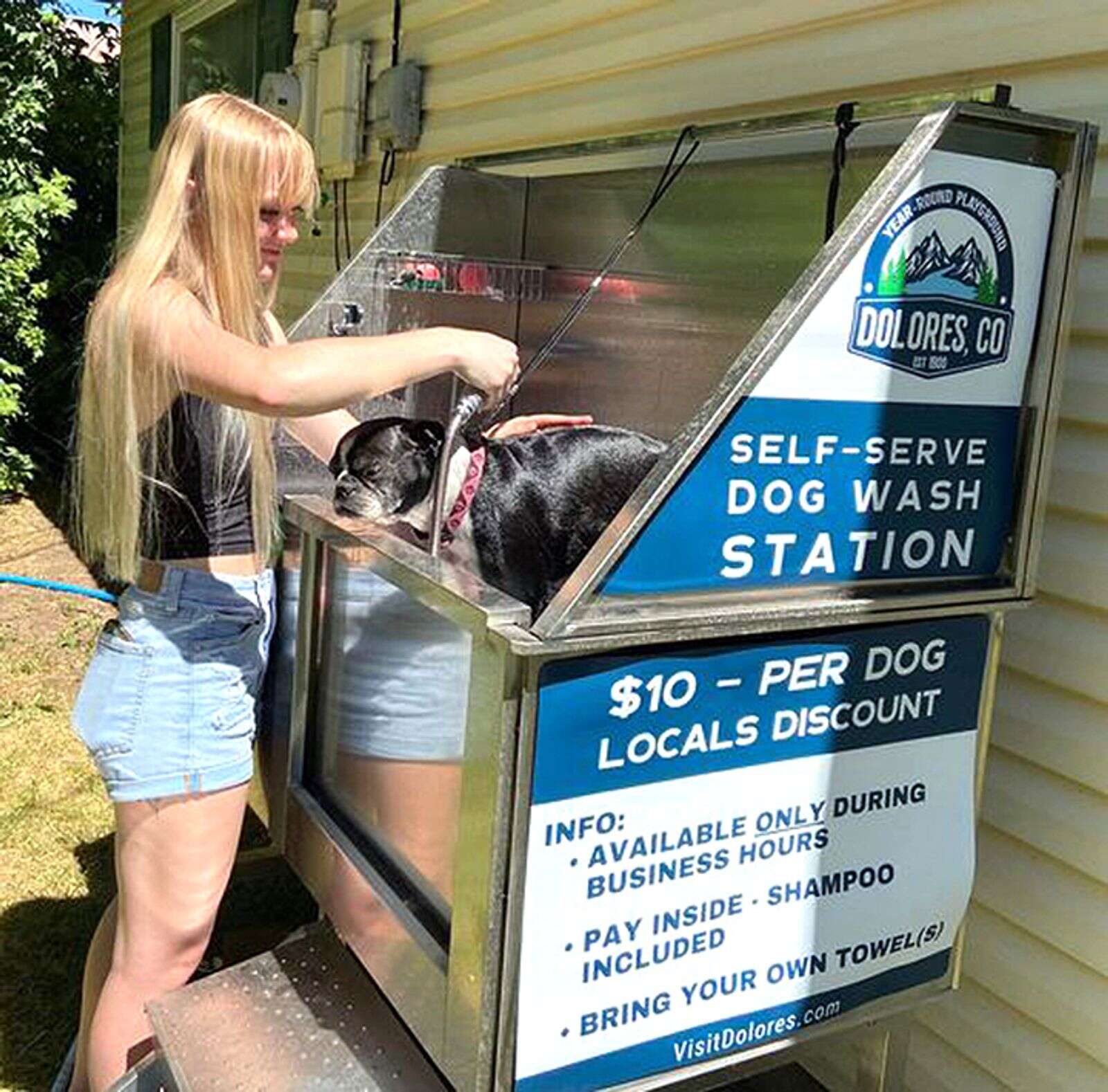 Self serve dog wash top
