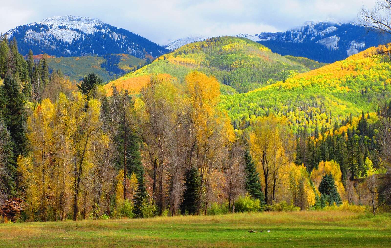 mountain fall foliage