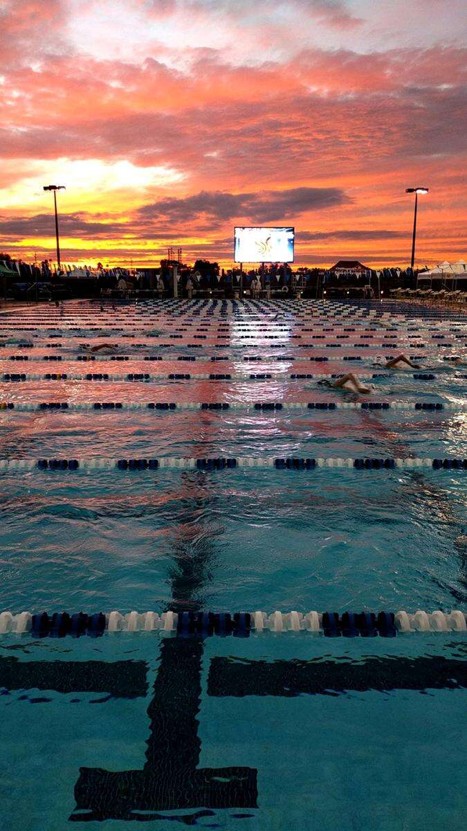 Phoenix swim club outlet