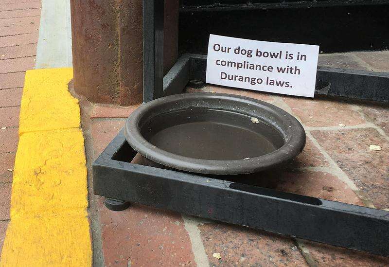 Covered deals dog bowl