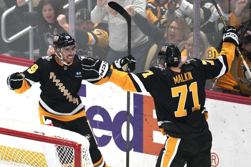 Penguins sink Sharks for 4th Stanley Cup – The Durango Herald