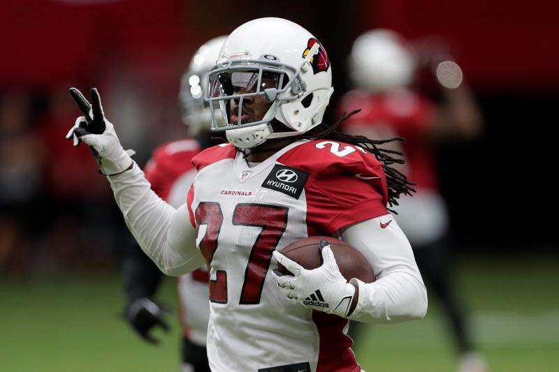 Creo que haga turismo Aliviar Arizona Cardinals player suspended for betting on NFL – The Durango Herald