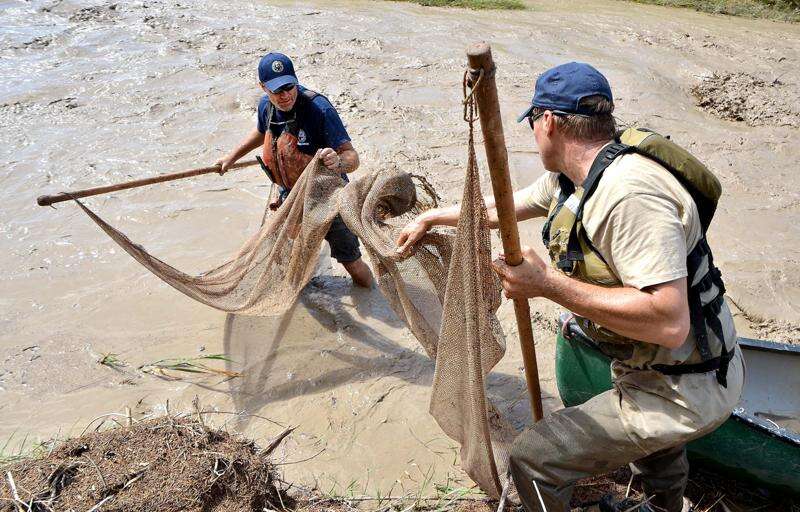 Colorado Fishing Network: White River