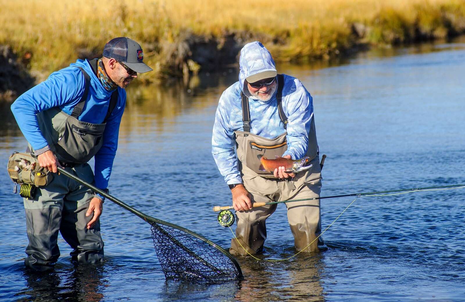 Fly Fishing Tricos - a Great Summer Hatch - Simpson Fly Fishing