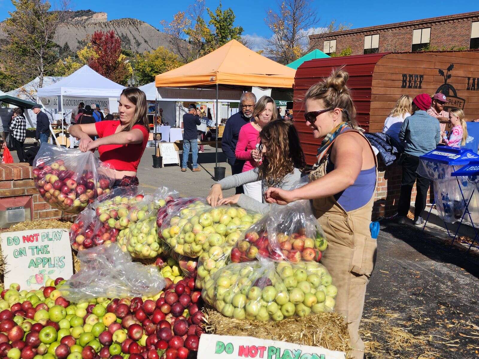 Darlington Apple Festival 2025 Images References :