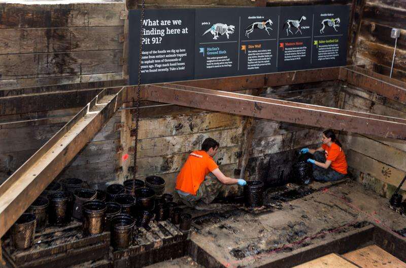 Observation Areas  Rancho La Brea Tar Pits