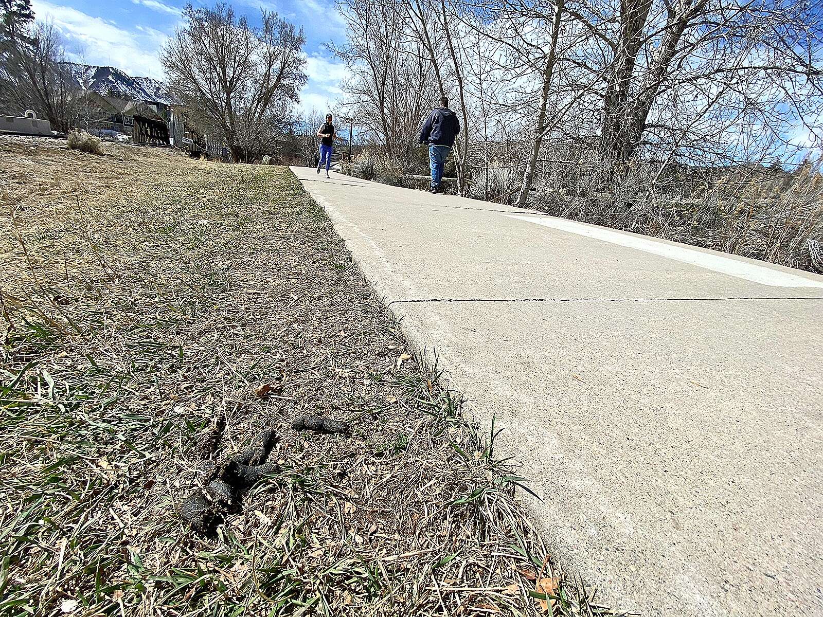 how to get dog poop off running shoes