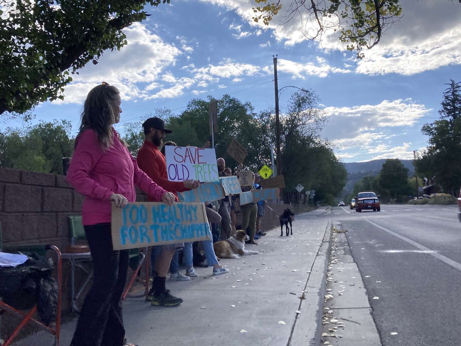 $22 million worth of trees are coming to Colorado – The Durango Herald