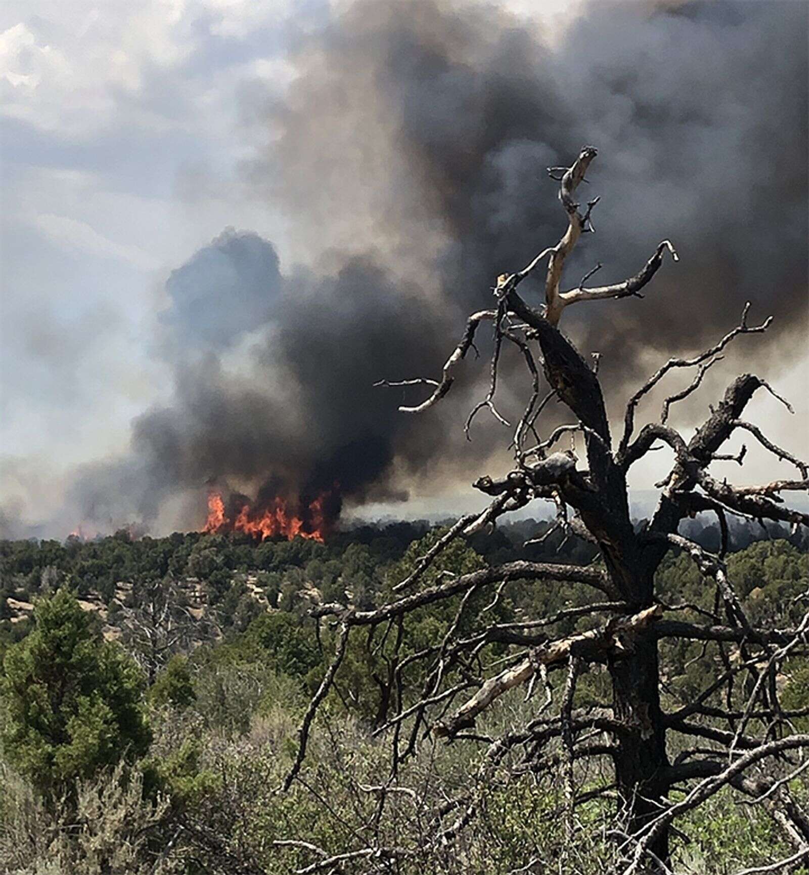 Joseph Canyon blaze has burned 3,700 acres; firefighting hindered by  'extreme winds' 