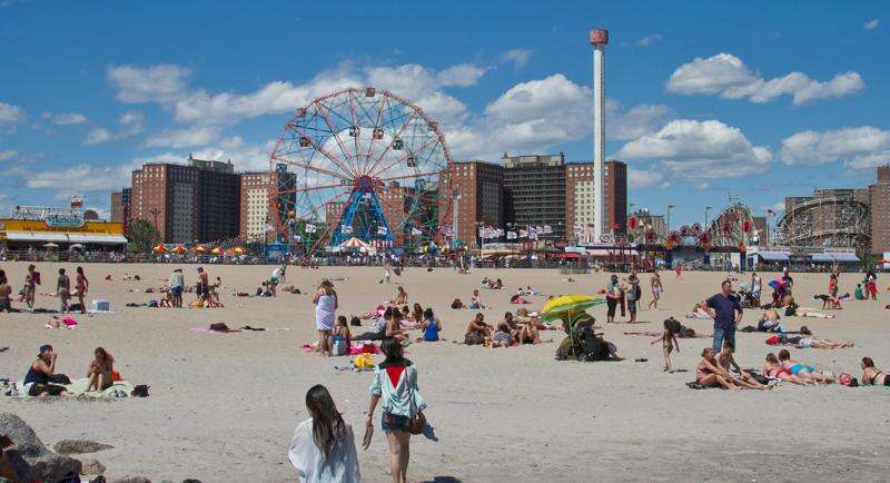 Nets Shop by adidas at Coney Island - Sporting Goods Retail in