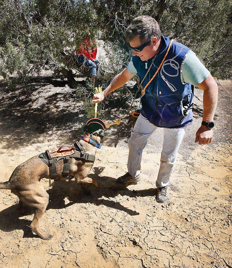 Aztec canine search and rescue group seeks volunteers The Journal