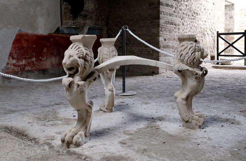 pompeii animal bodies