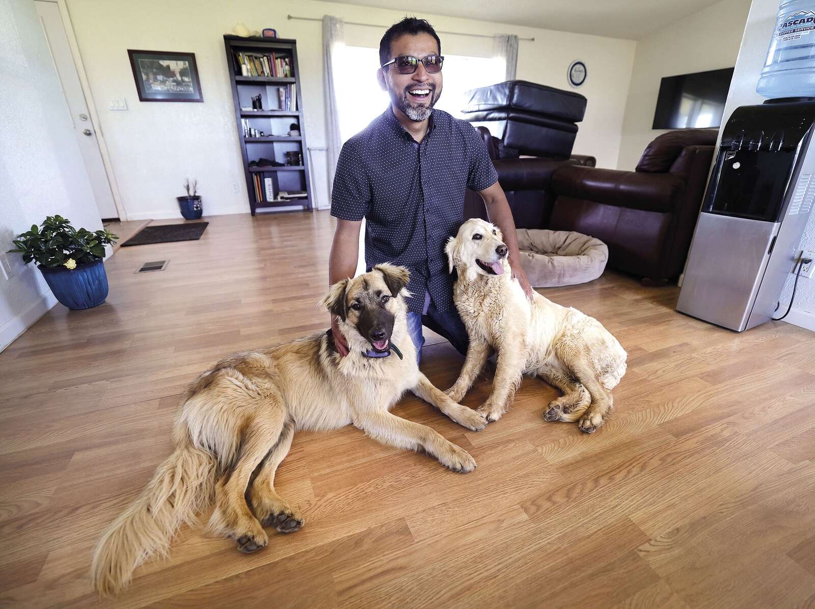 Renting a house with a dog deals