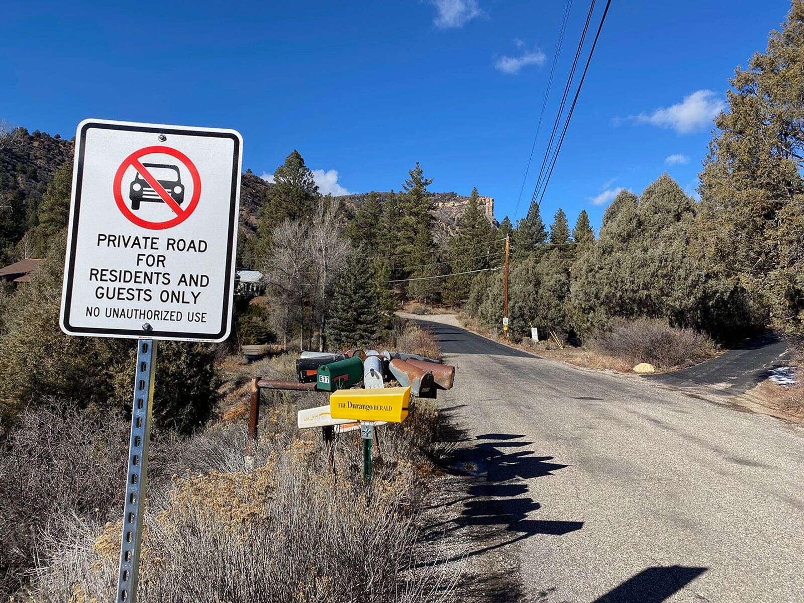 Pika: Is it prudent to panic? – The Durango Herald