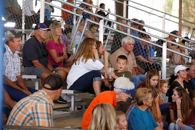 La Plata County Fair The Durango Herald