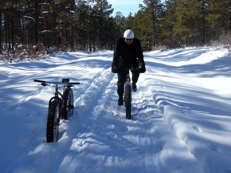 Boggy fat bike new arrivals