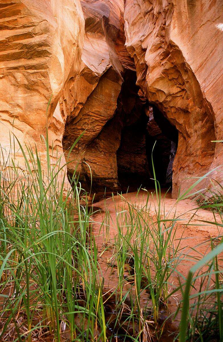 Nature's Fountain in Powell