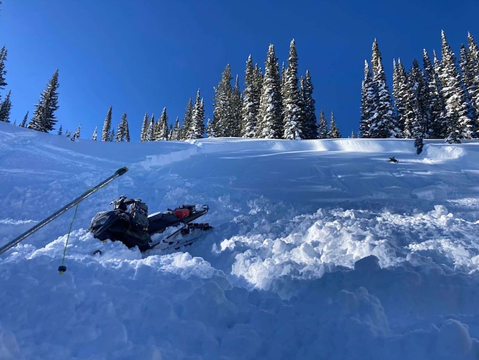 Avalanche Outdoor Supply Co Mountain scene cap